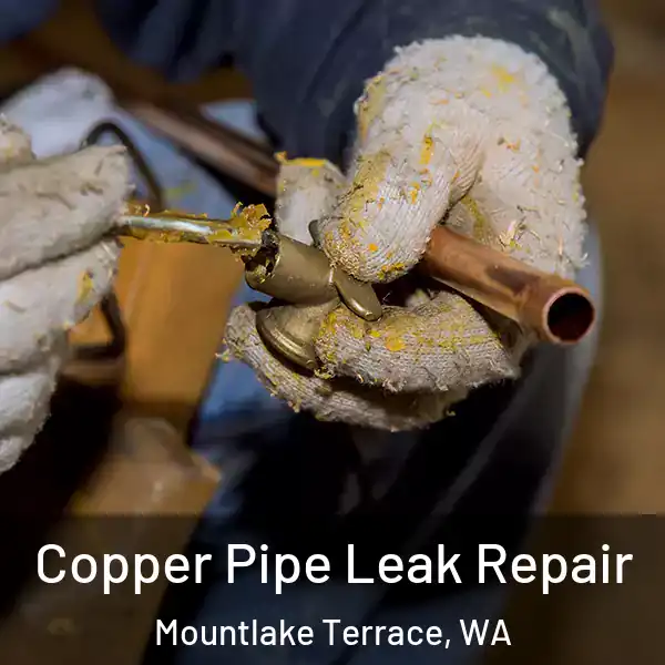  Copper Pipe Leak Repair Mountlake Terrace, WA