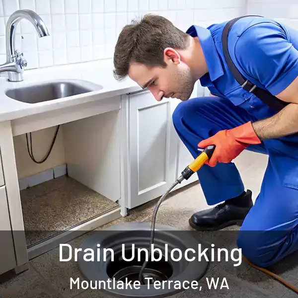  Drain Unblocking Mountlake Terrace, WA