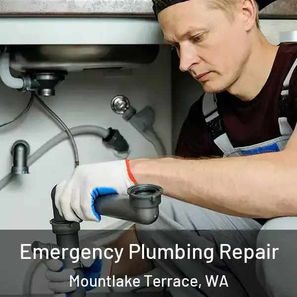  Emergency Plumbing Repair Mountlake Terrace, WA