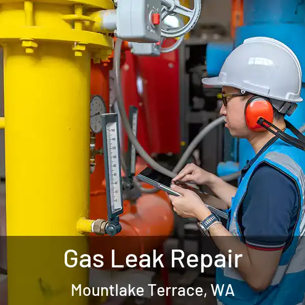  Gas Leak Repair Mountlake Terrace, WA