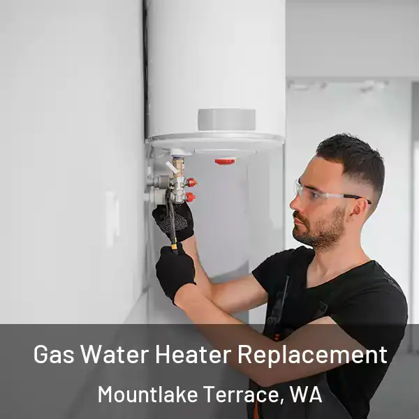 Gas Water Heater Replacement Mountlake Terrace, WA