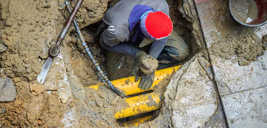 Clogged Drain Repair in Mountlake Terrace, WA