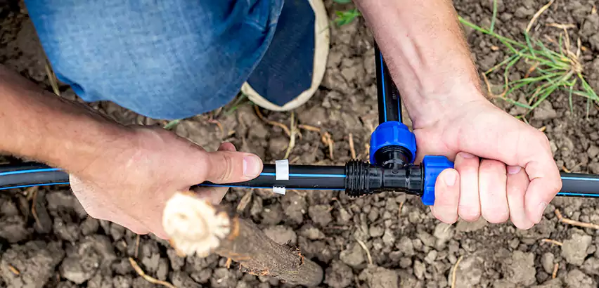 Irrigation Leak Detection in Mountlake Terrace