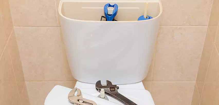 Upflush Toilet Installation in Mountlake Terrace