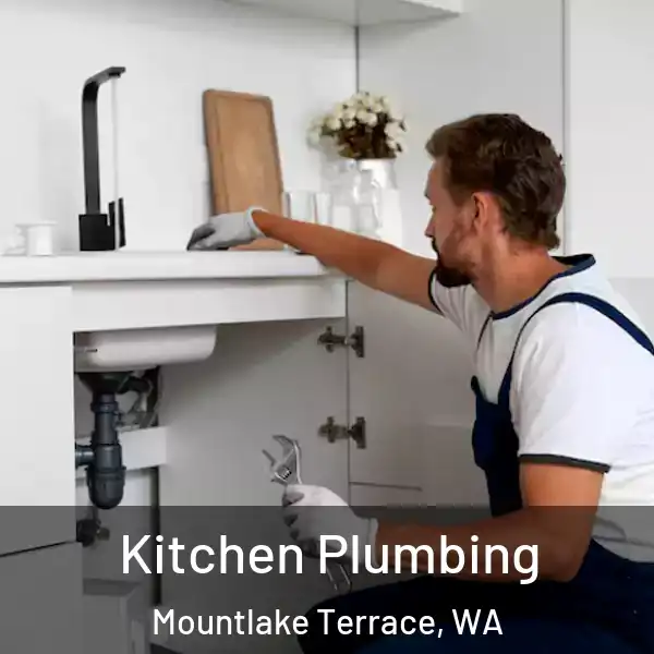  Kitchen Plumbing Mountlake Terrace, WA
