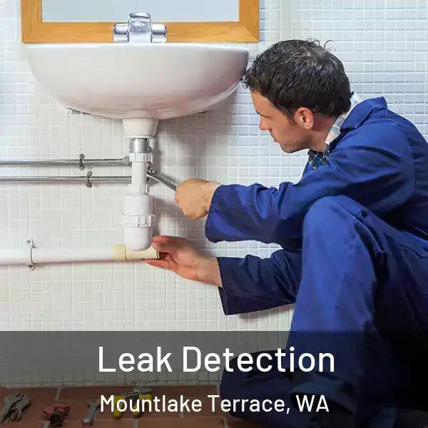  Leak Detection Mountlake Terrace, WA