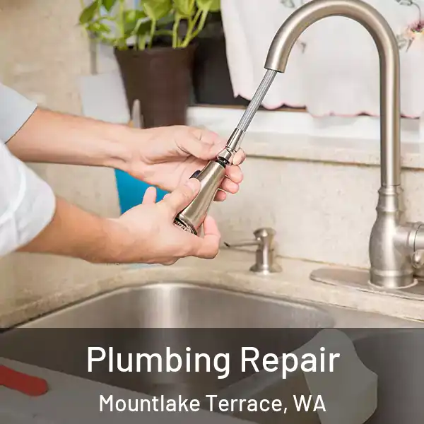  Plumbing Repair Mountlake Terrace, WA