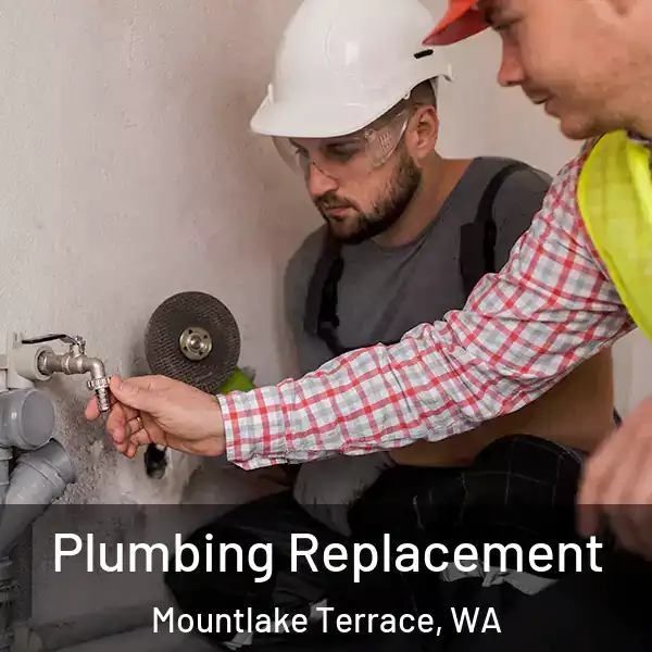  Plumbing Replacement Mountlake Terrace, WA