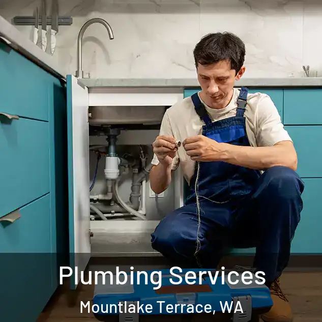 Plumbing Services Mountlake Terrace, WA