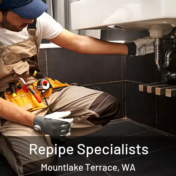  Repipe Specialists Mountlake Terrace, WA
