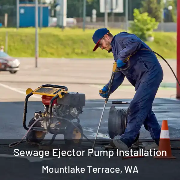  Sewage Ejector Pump Installation Mountlake Terrace, WA