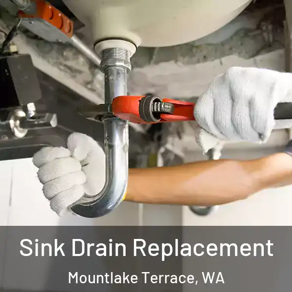  Sink Drain Replacement Mountlake Terrace, WA