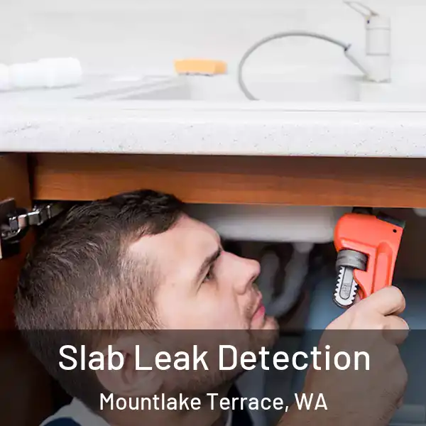  Slab Leak Detection Mountlake Terrace, WA