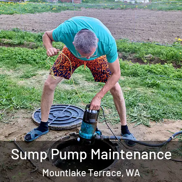  Sump Pump Maintenance Mountlake Terrace, WA