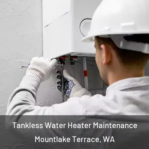  Tankless Water Heater Maintenance Mountlake Terrace, WA