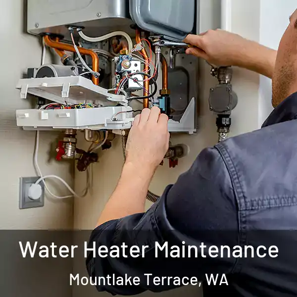  Water Heater Maintenance Mountlake Terrace, WA