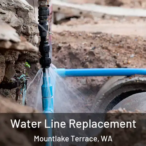  Water Line Replacement Mountlake Terrace, WA
