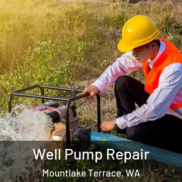 Well Pump Repair Mountlake Terrace, WA